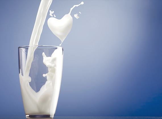 insol ltd milk production