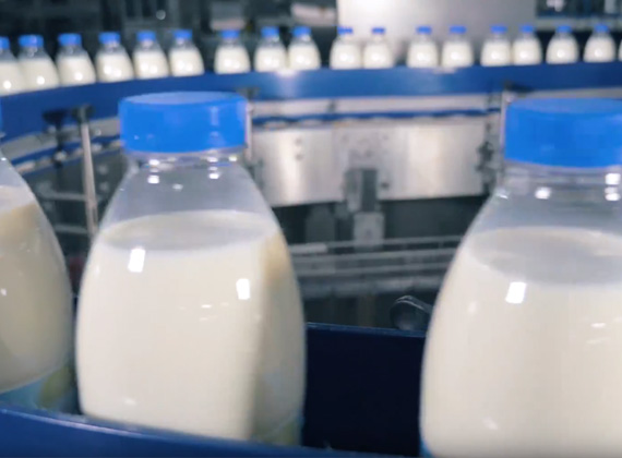 insol milk production line